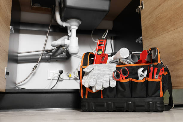 Best Local Plumber Services  in Blue Earth, MN